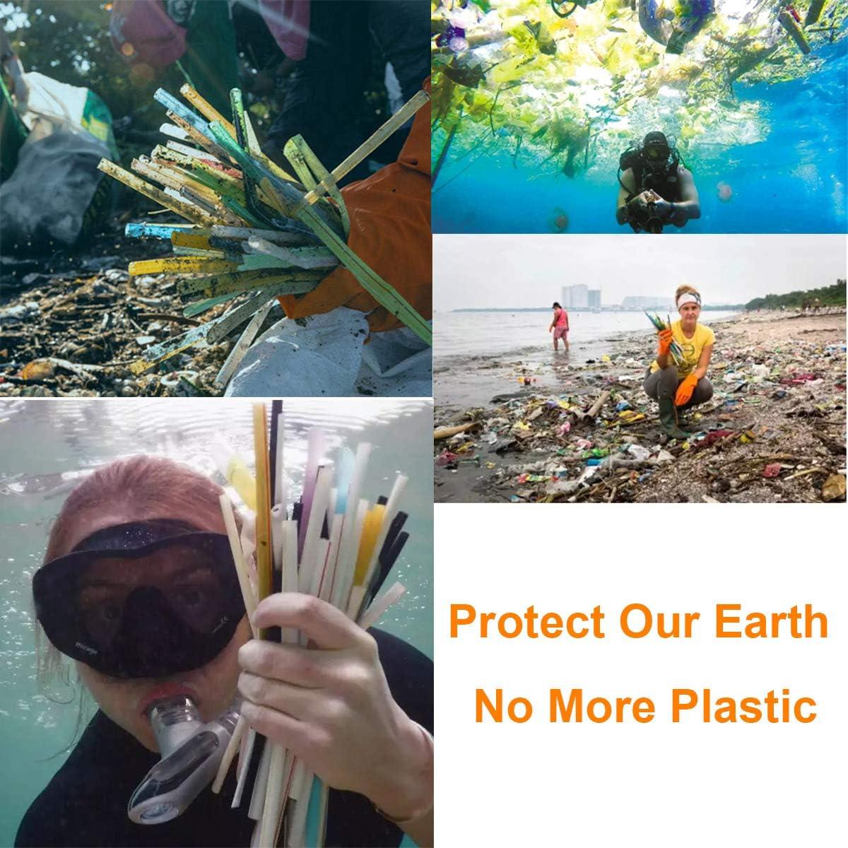 Popotes Reutilizables Morneve de Acero Inoxidable 10" para Boba