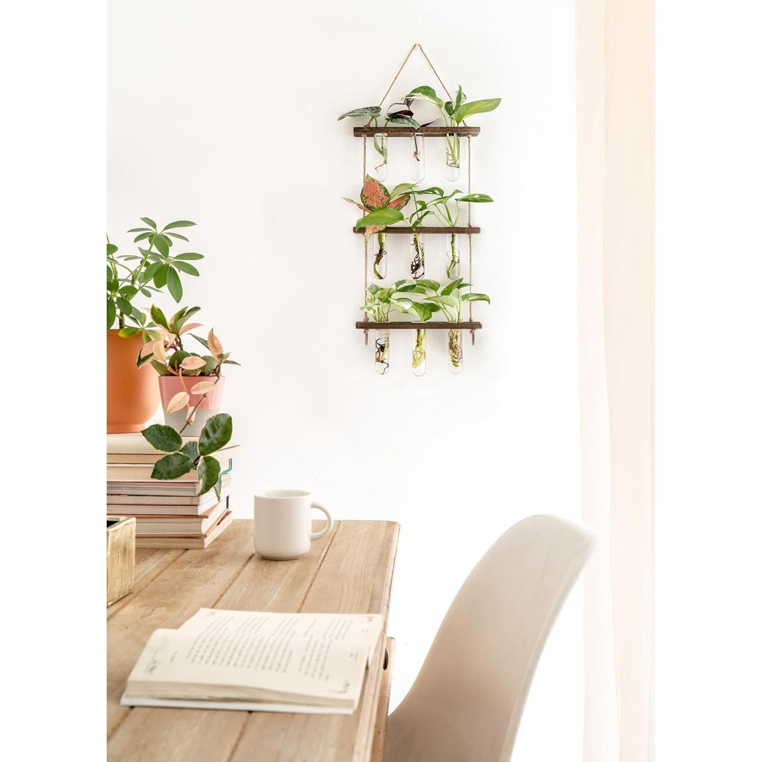 Propagador de Plantas Mkono, Terrario Colgante 3 Niveles, Marrón