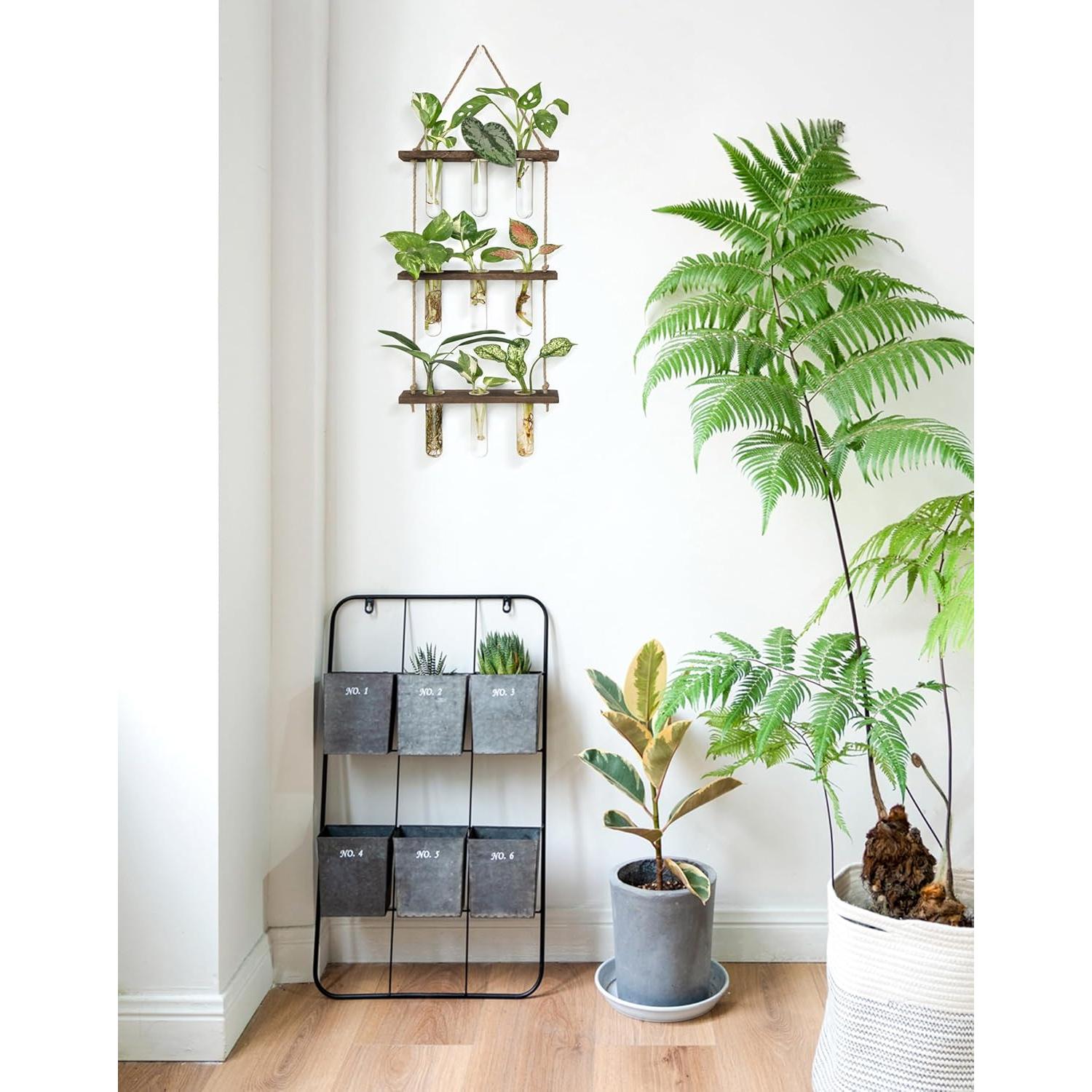 Propagador de Plantas Mkono, Terrario Colgante 3 Niveles, Marrón