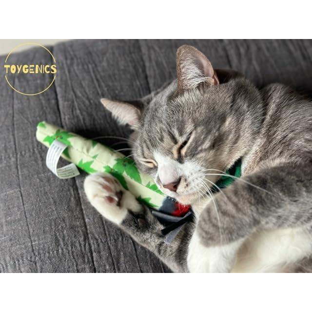 Juguete para Gatos ToyGenics Doobie de Hierba Gatera 21.6 cm