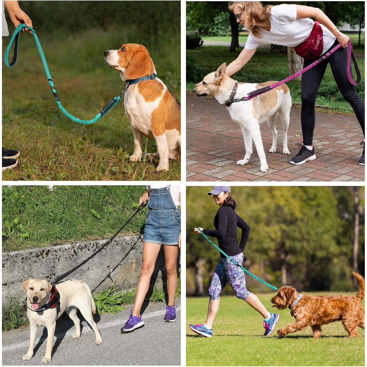 Correa para Perros Chioratree 2 Paquetes Rosa 1.22-1.83m