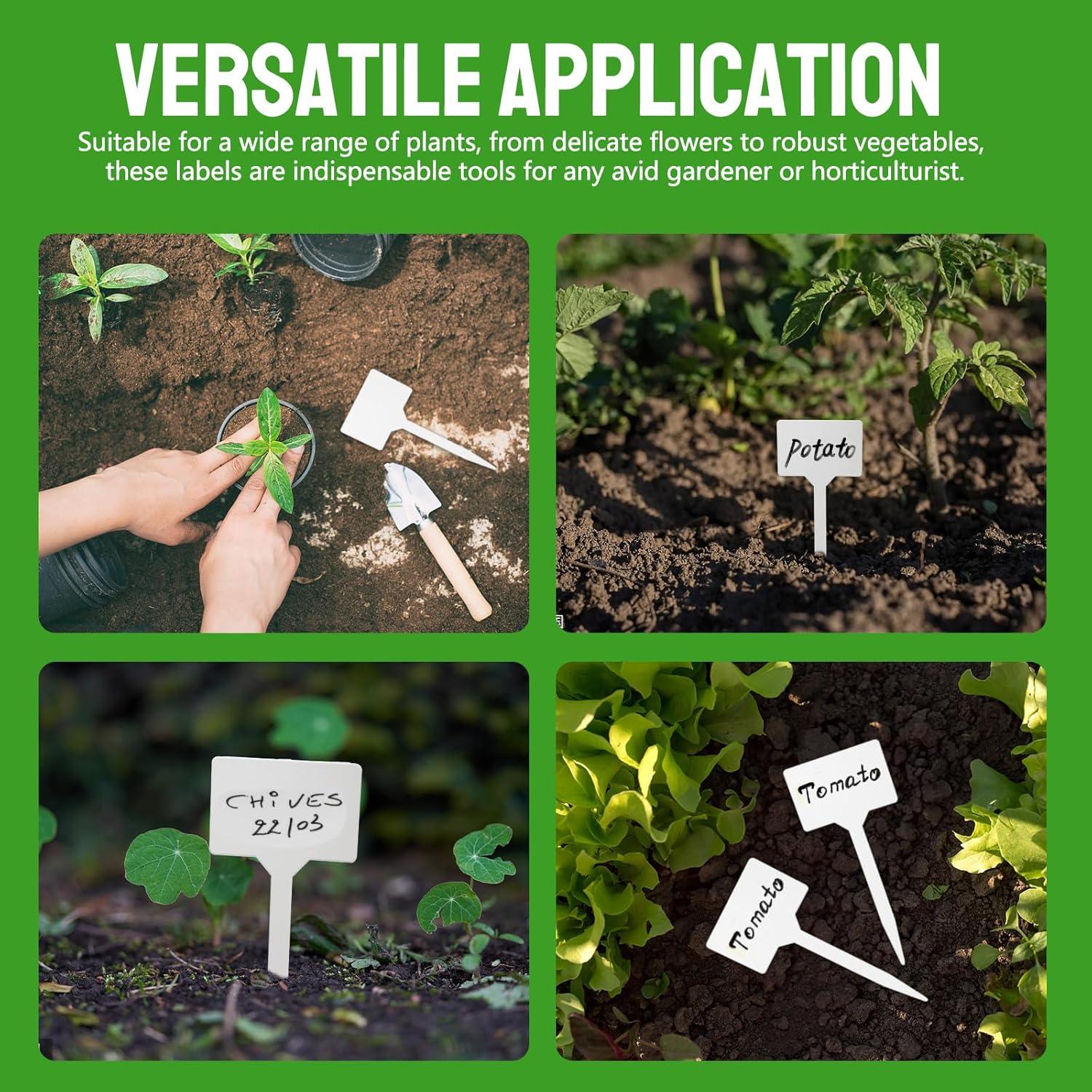 20 Etiquetas de Plástico T-Shape Blancas 15.24cm para Jardín