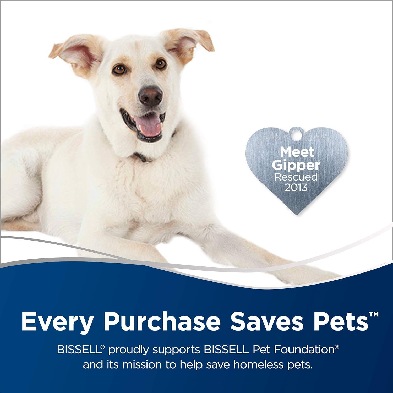 Aspiradora sin bolsa Bissell Zing 2L 9A Verde