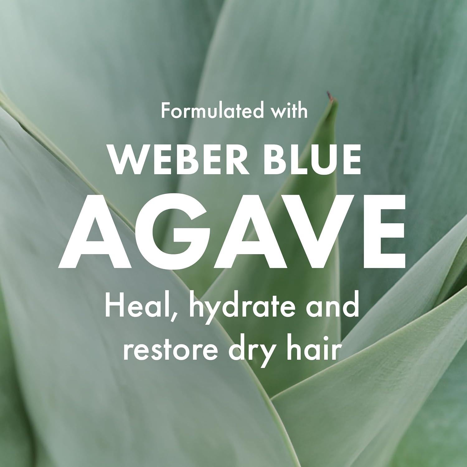 Tratamiento Hidratante para Cabello Agave 59 ml - Libre de Sulfatos