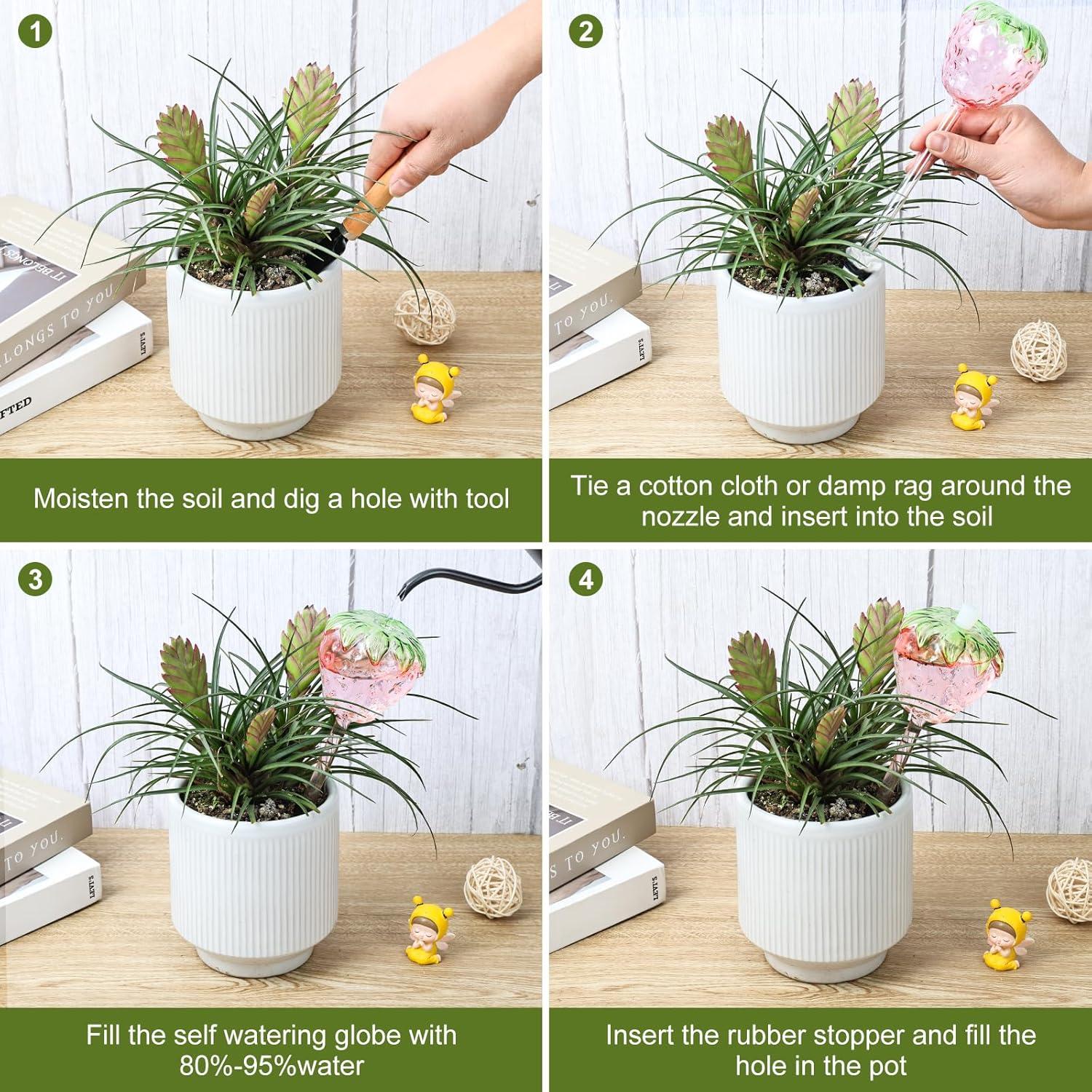 Juego de 2 Esferas de Riego Automático de Vidrio para Plantas