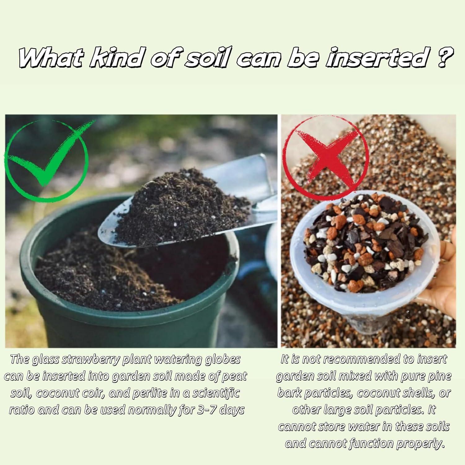 Juego de 2 Esferas de Riego Automático de Vidrio para Plantas