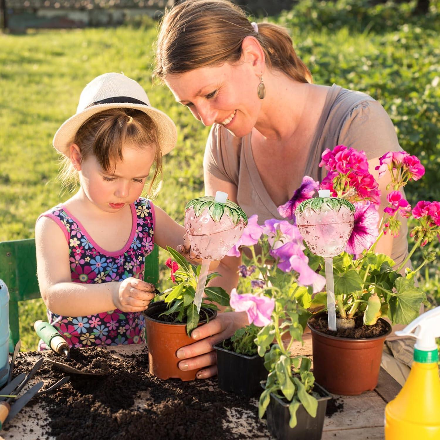 Juego de 2 Esferas de Riego Automático de Vidrio para Plantas