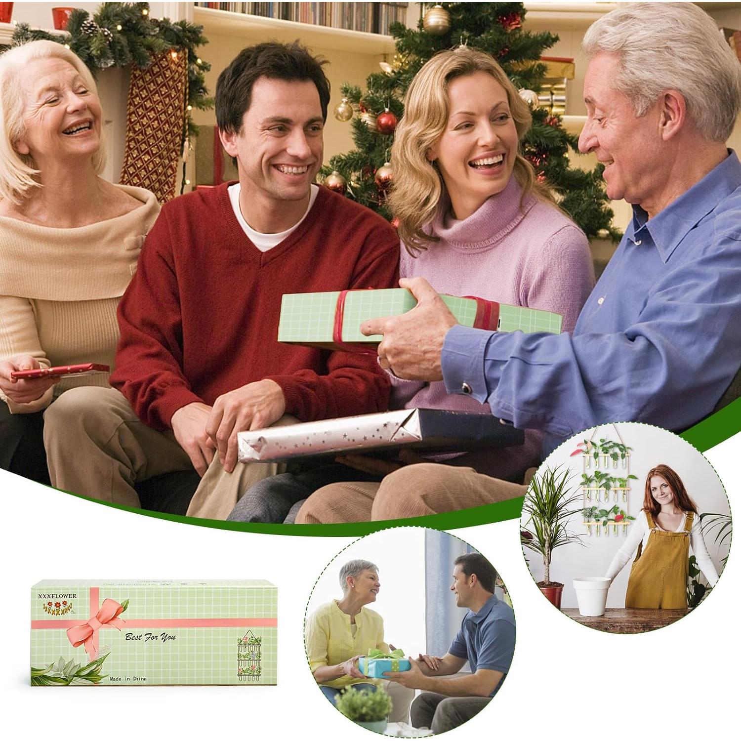 Estación de Propagación de Pared XXXFLOWER con 5 Tubos de Vidrio