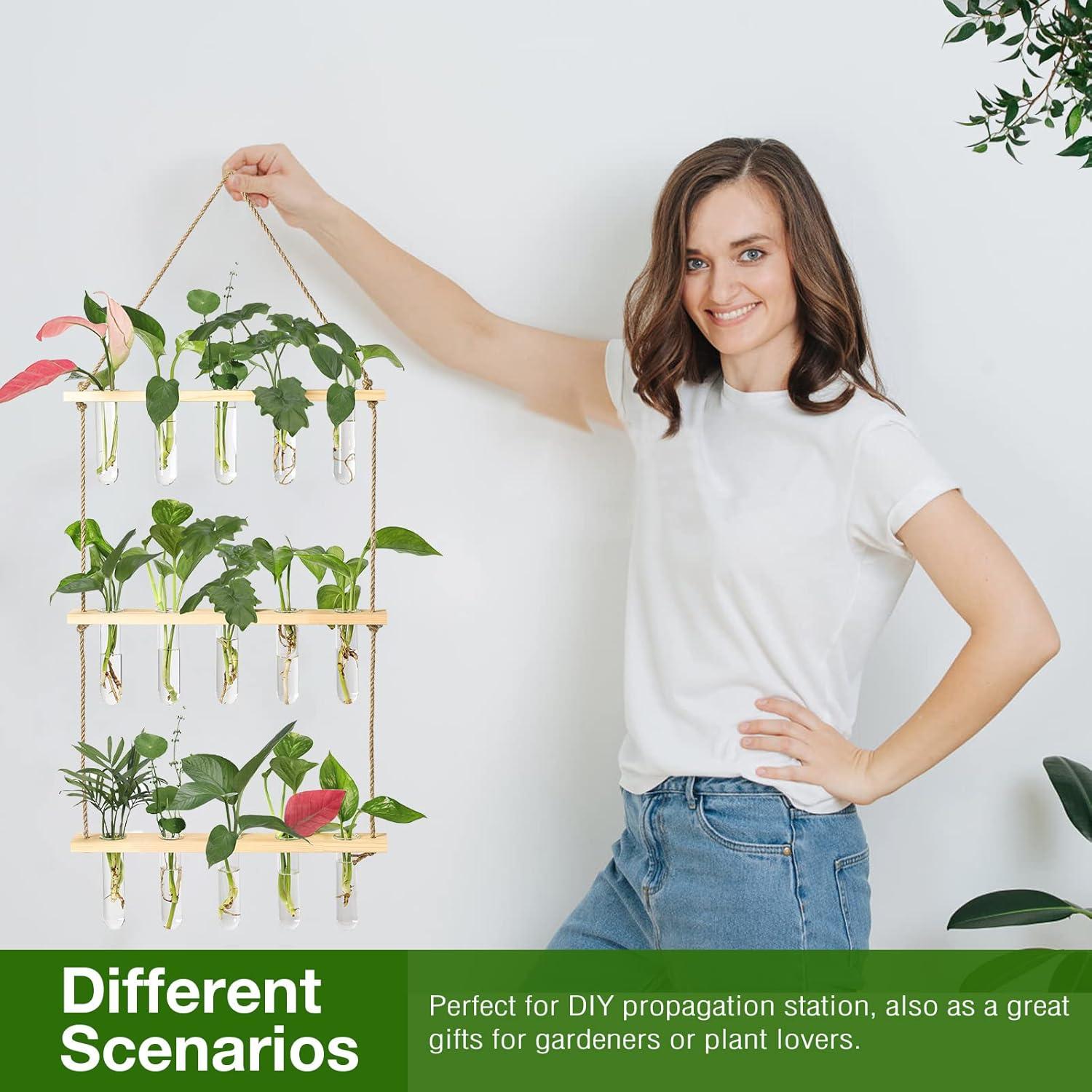 Estación de Propagación de Pared XXXFLOWER con 5 Tubos de Vidrio