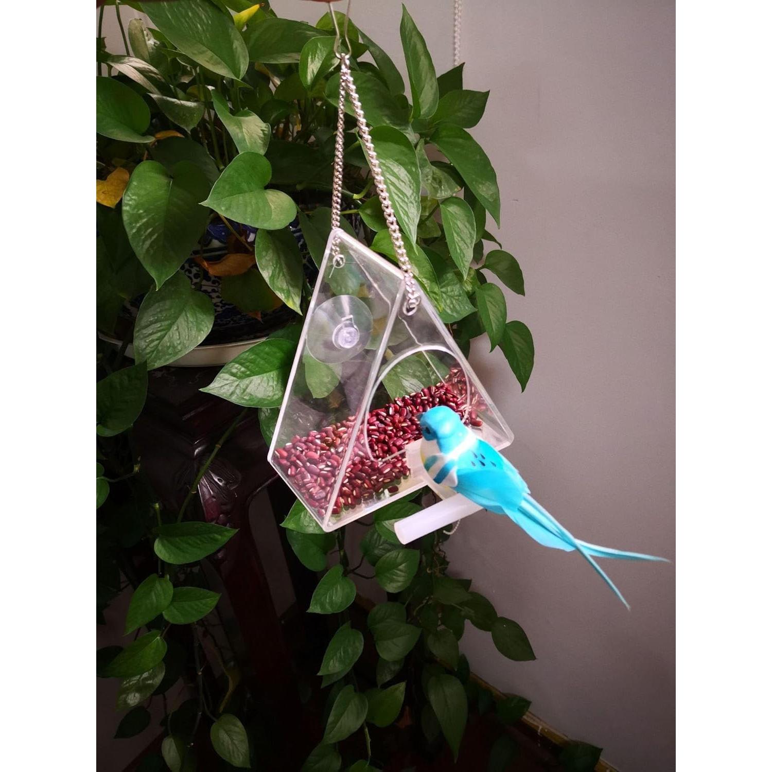 Comedero de Aves Acrílico BHFK Triangular para Ventana
