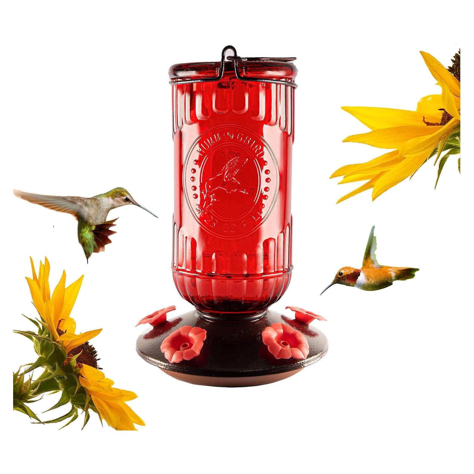 Alimentador de Aves Ritmo de la Naturaleza Vidrio 680 ml 5 Puertos