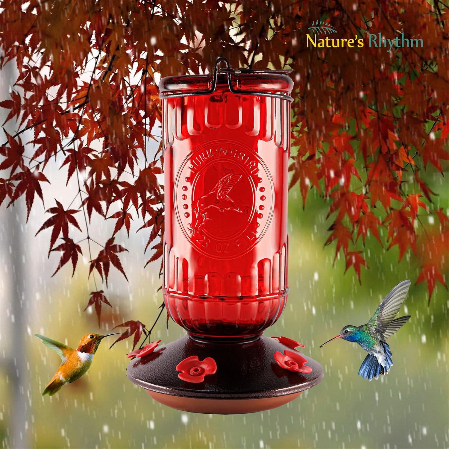 Alimentador de Aves Ritmo de la Naturaleza Vidrio 680 ml 5 Puertos