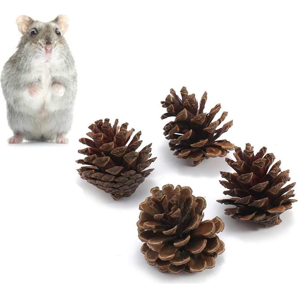 Juguetes de Masticación para Conejos ANDES - 13PCS Natural