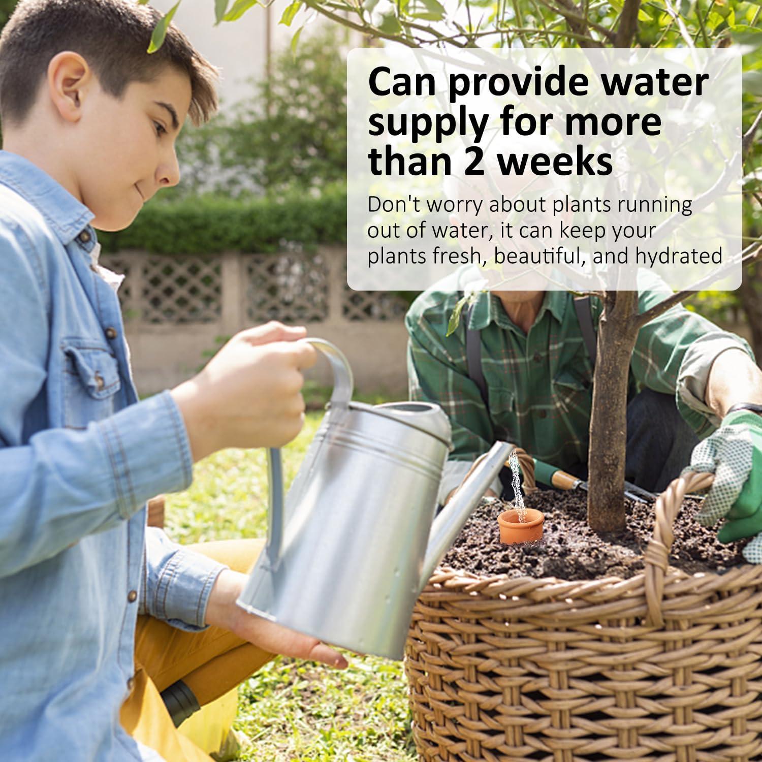 Ollas de Riego Automáticas Lovely Ran 15 cm Terracota