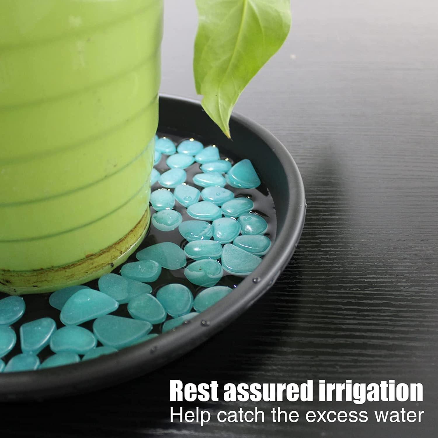 Plato de plástico Lechay para macetas 30.48 cm - Paquete de 3