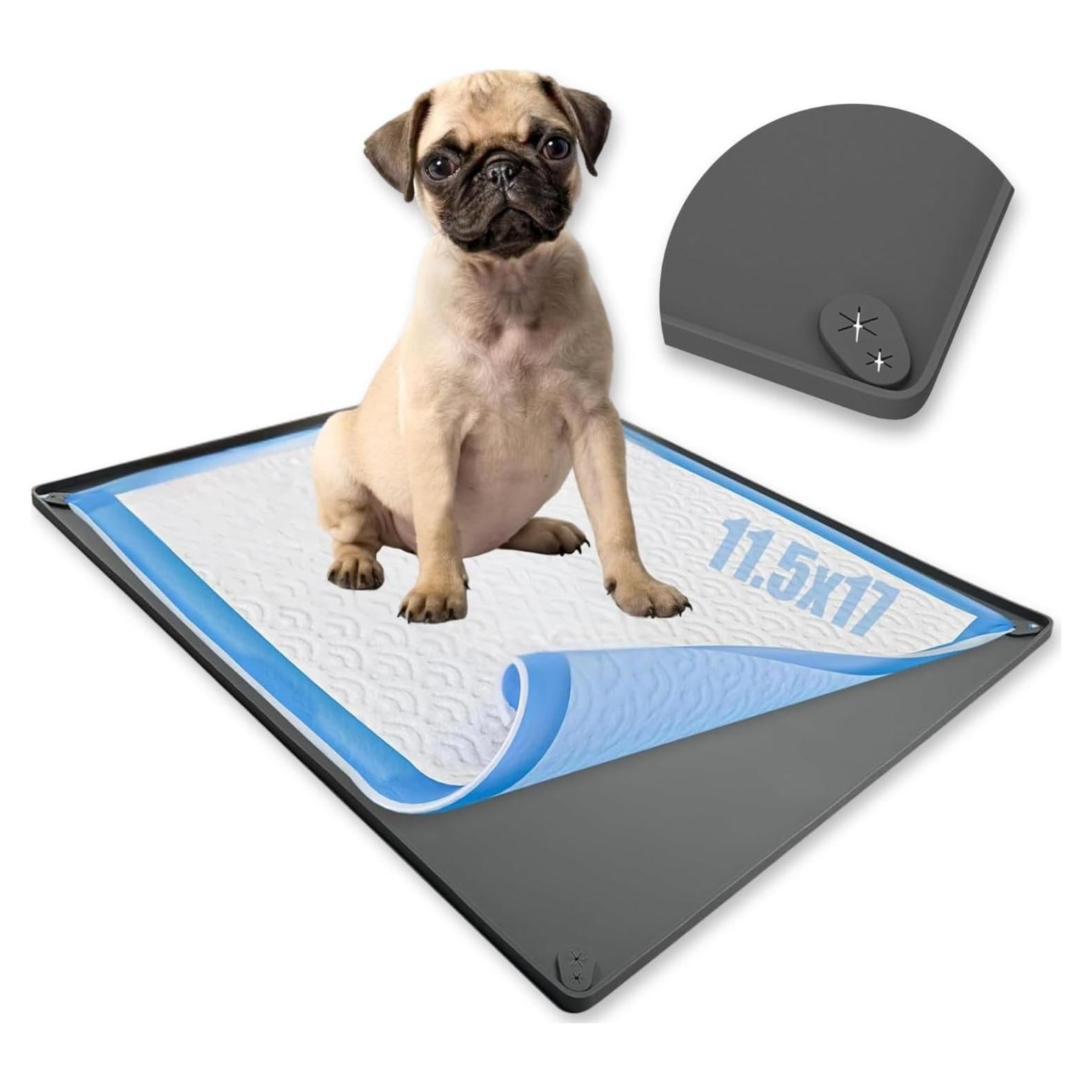 Bandeja Portapads para Cachorros Skywin 43.2x29.2cm Antideslizante