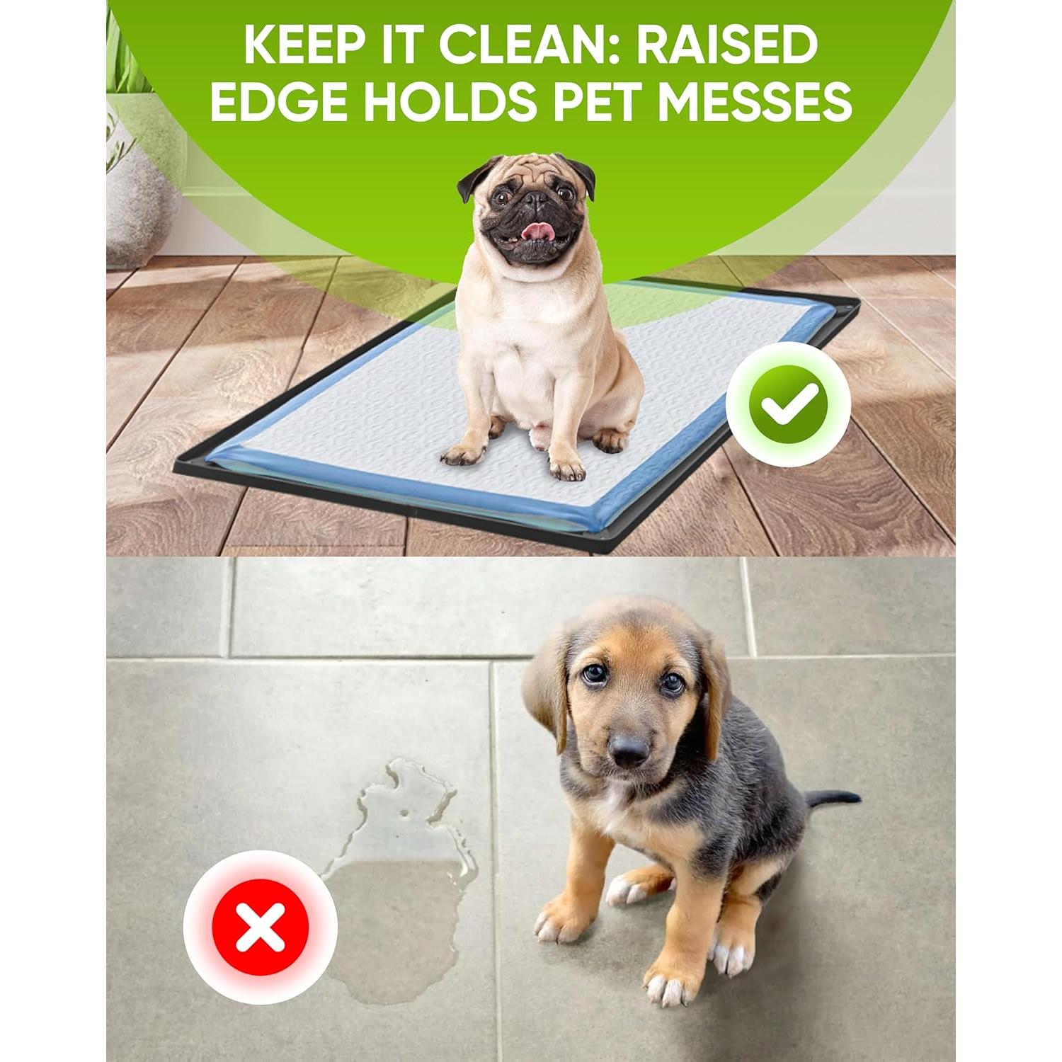 Bandeja Portapads para Cachorros Skywin 43.2x29.2cm Antideslizante