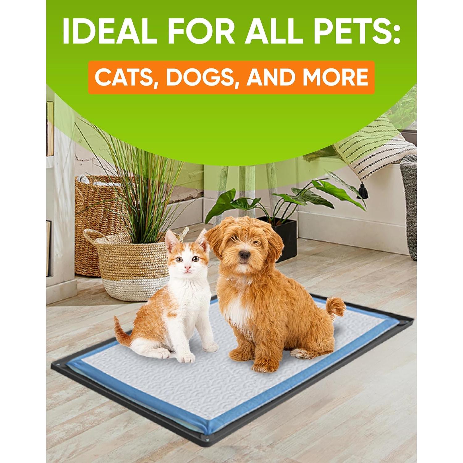 Bandeja Portapads para Cachorros Skywin 43.2x29.2cm Antideslizante