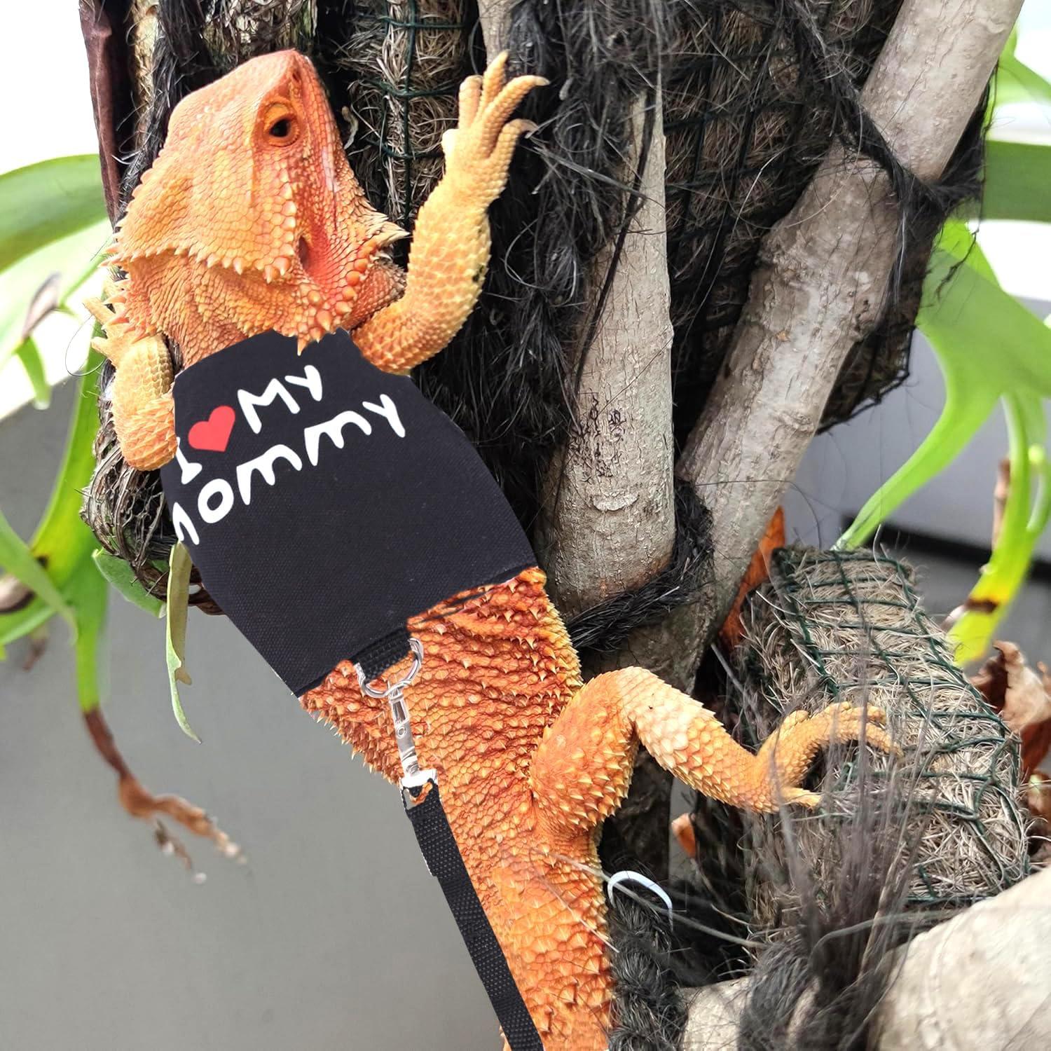 Arnés Ajustable para Dragón Barbudo WEVONIGU con Correa