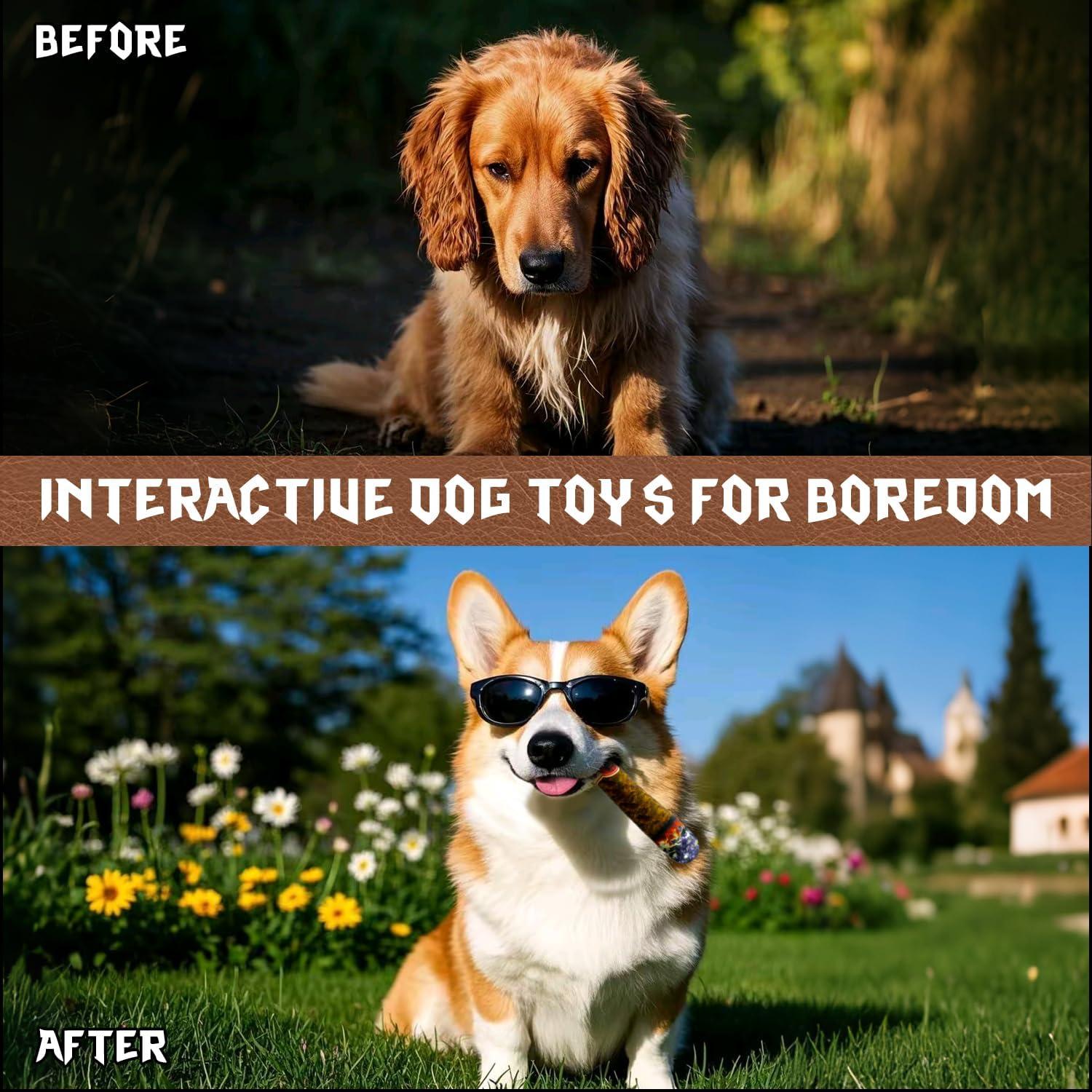 Paquete de 5 Juguetes Squeaky para Perros Chongqile