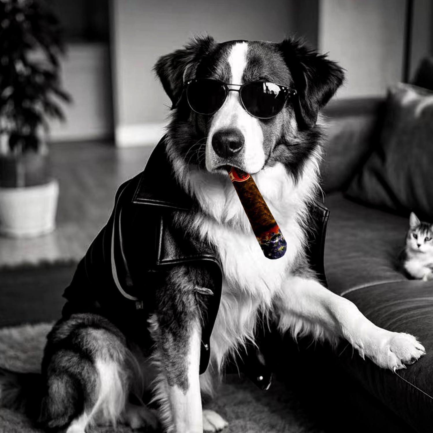 Paquete de 5 Juguetes Squeaky para Perros Chongqile