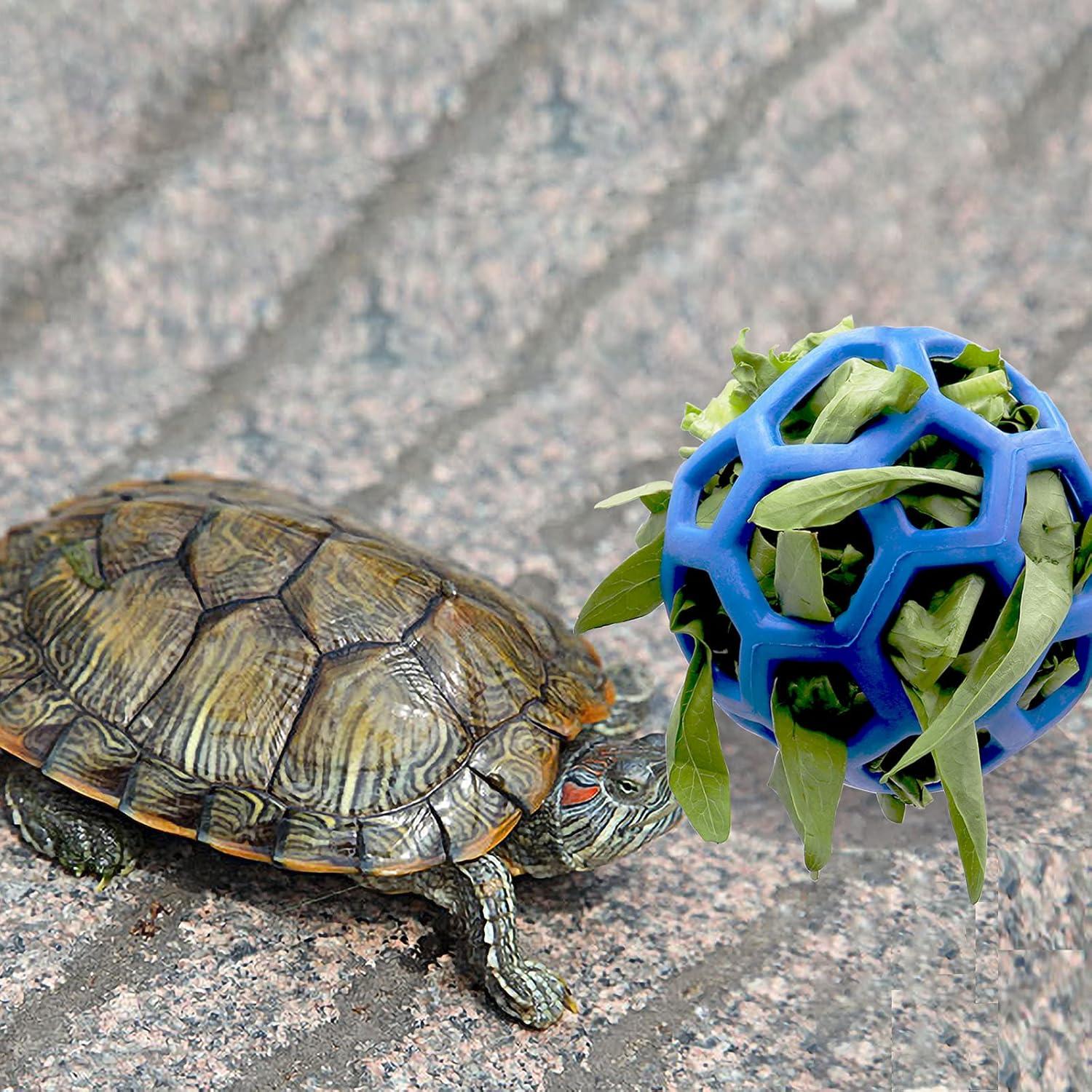 Bola de Alimentación para Tortugas Together-life 14 cm Azul