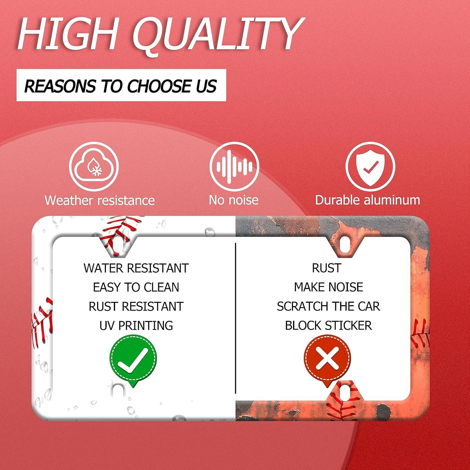 Marco de Placa de Licencia LOISTAVA Acero Inoxidable 30.99x15.24cm