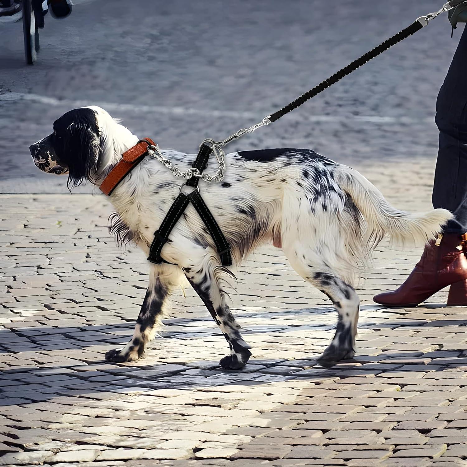 Clip de Seguridad para Collar de Perro Ozzynods 11.7cm Acero Inoxidable
