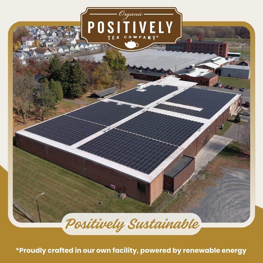 Té Oolong Orgánico Positivamente 454g Especial Flor Naranja