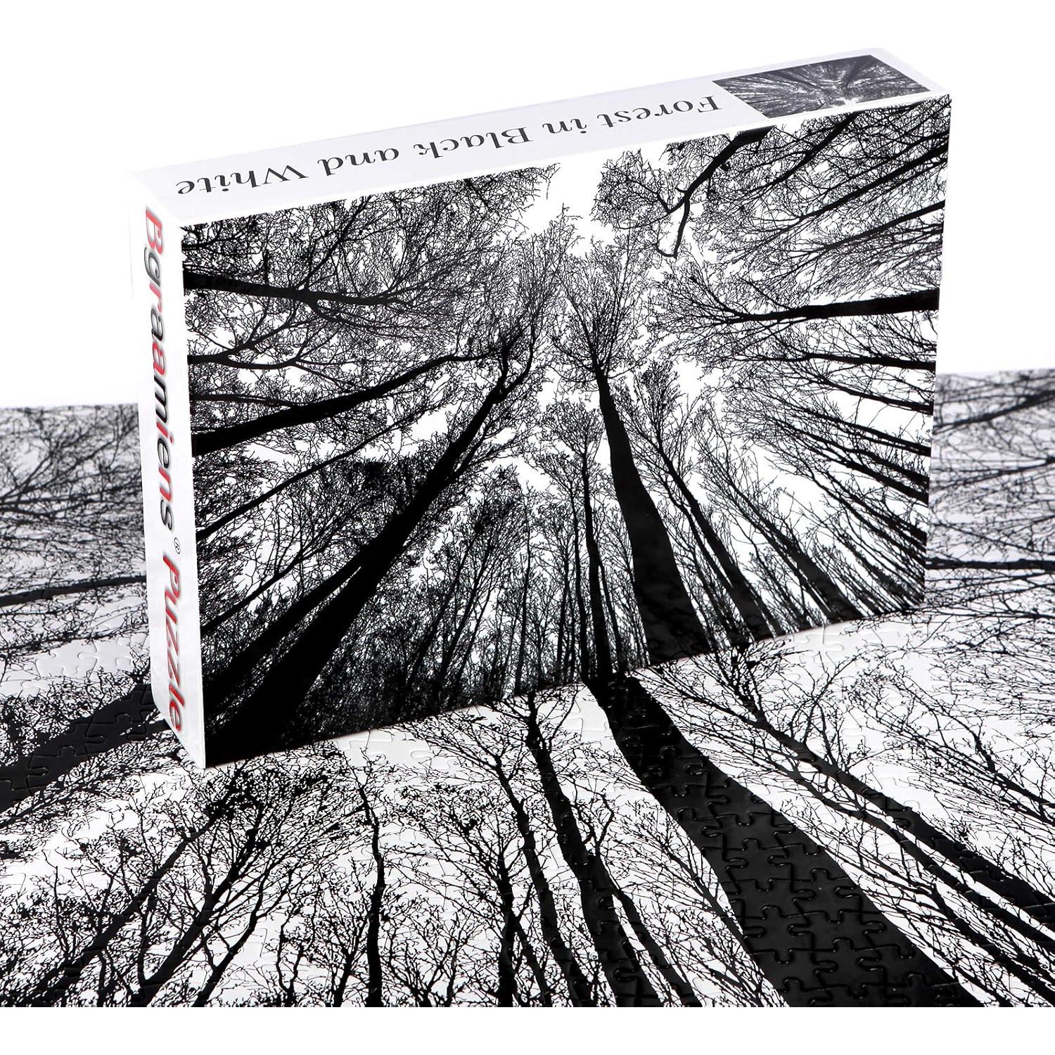 Rompecabezas Bgraamiens Bosque en Blanco y Negro 1000 Piezas