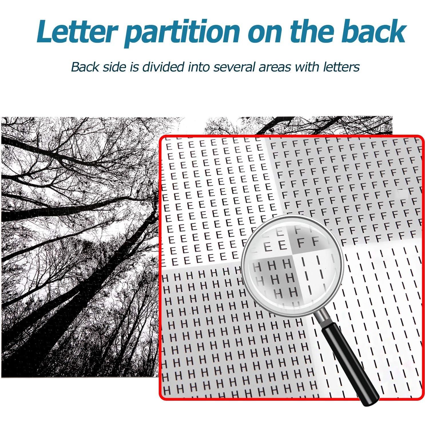 Rompecabezas Bgraamiens Bosque en Blanco y Negro 1000 Piezas