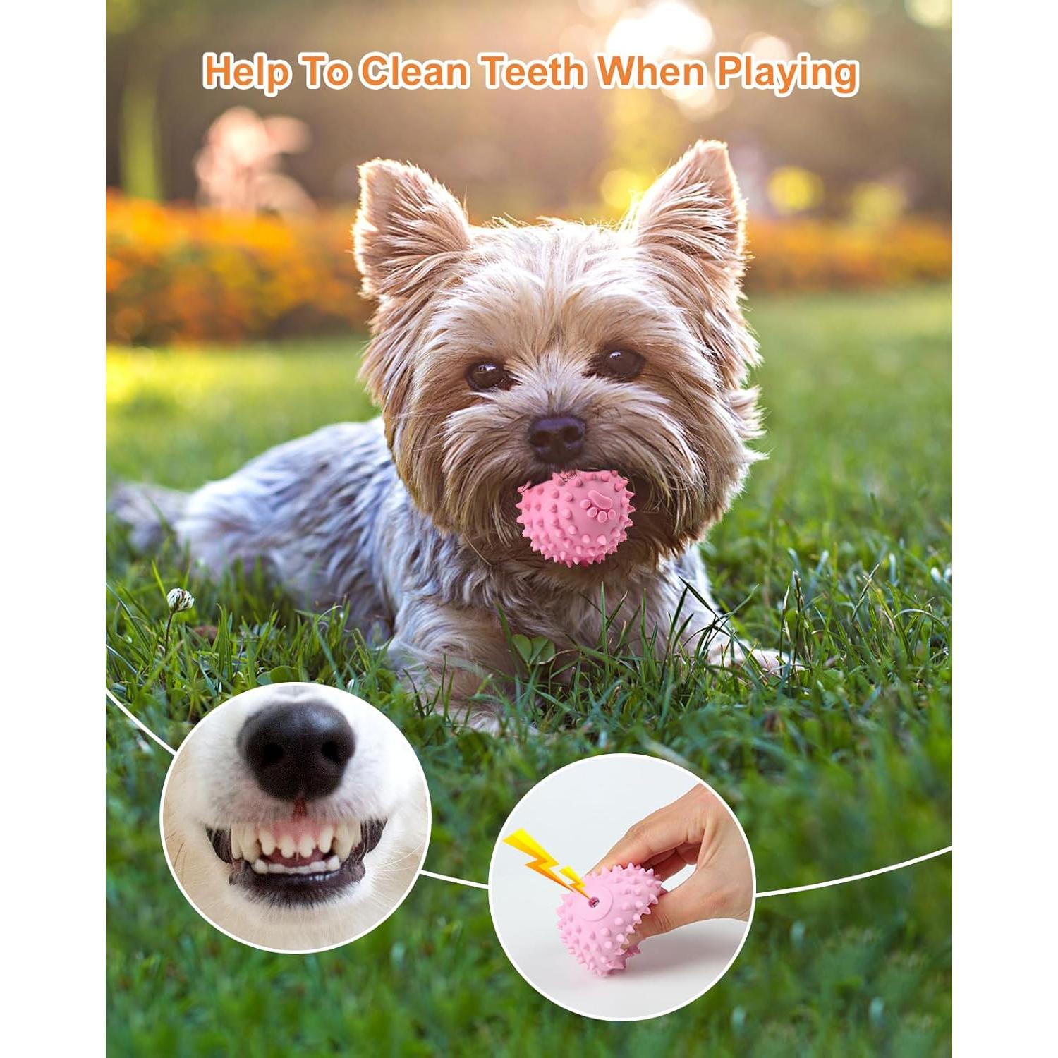 Juguetes para Perros Pequeños Bestdoggo 2 PCS Pelota y Mordedor