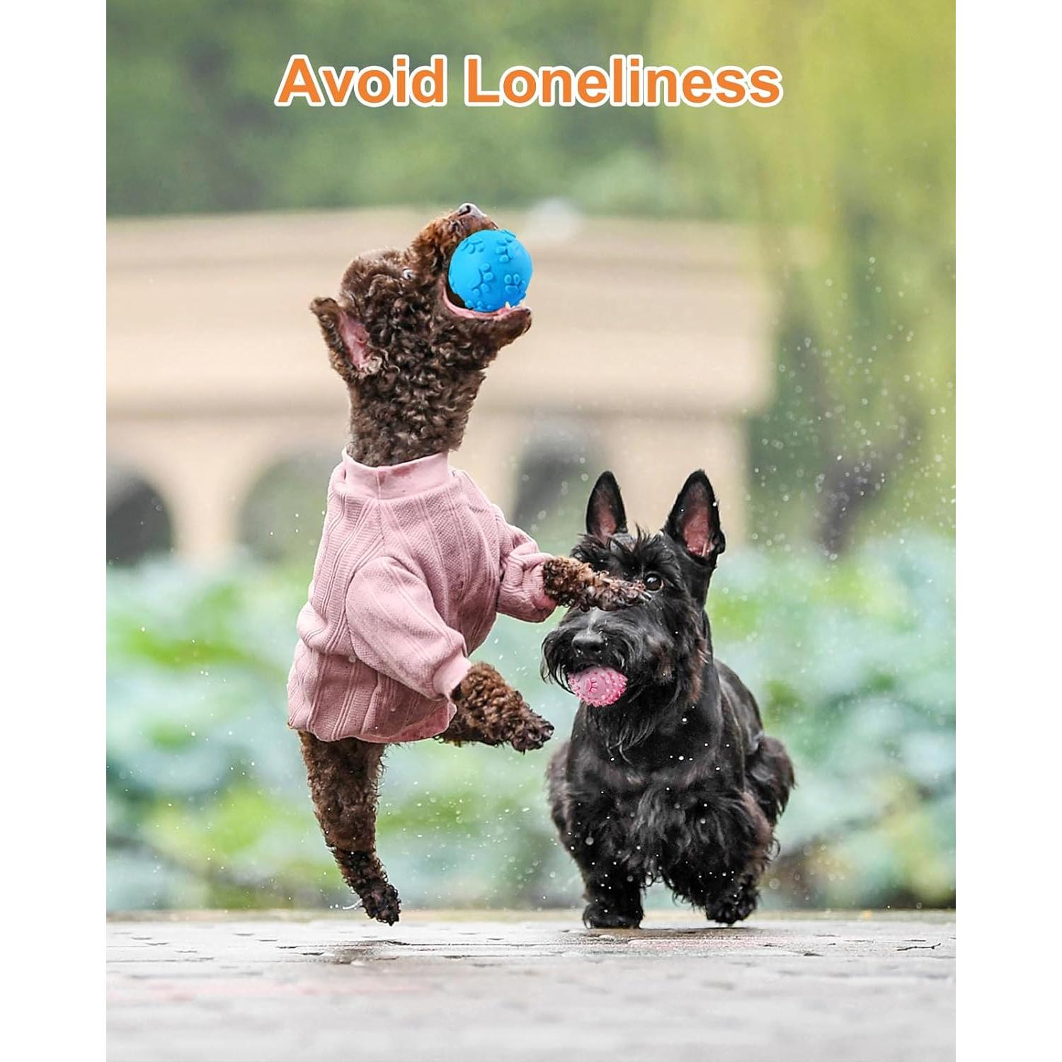 Juguetes para Perros Pequeños Bestdoggo 2 PCS Pelota y Mordedor