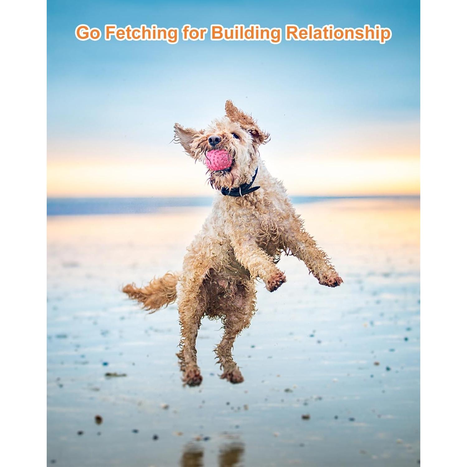 Juguetes para Perros Pequeños Bestdoggo 2 PCS Pelota y Mordedor