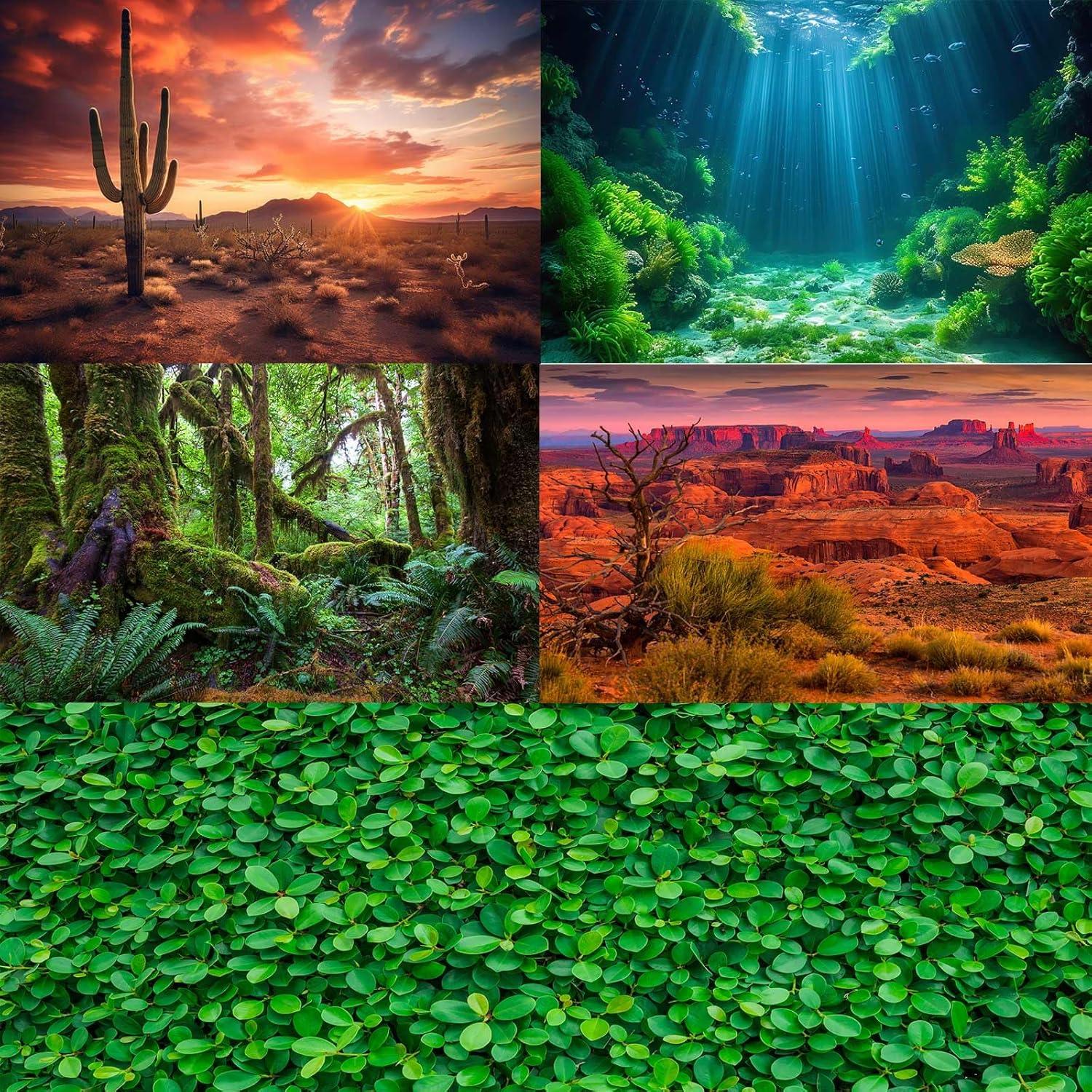 Fondo de Acuario Cueva Rock Futurista Riivvdise 60x30cm