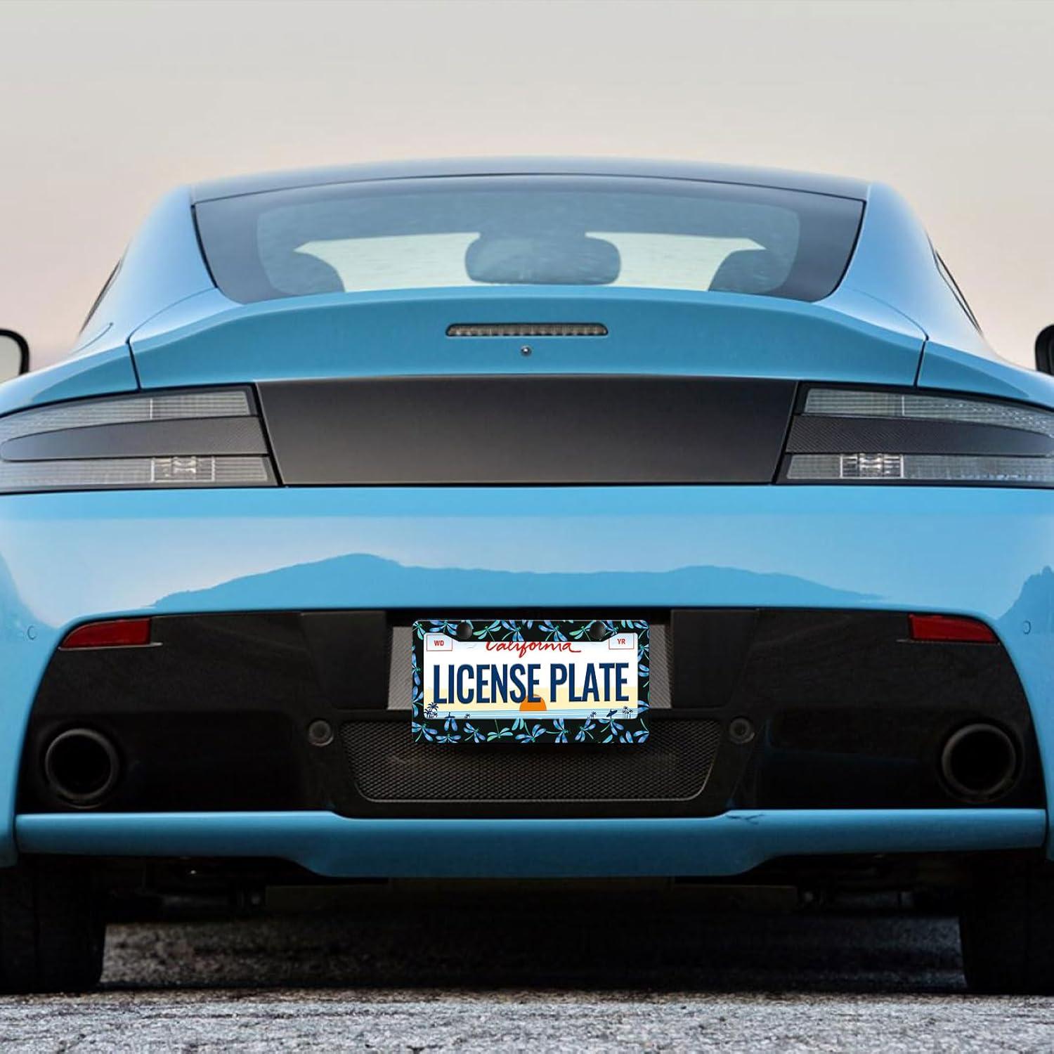 Marco de Placa de Matrícula LIN KANG Dragón Azul - Paquete de 2