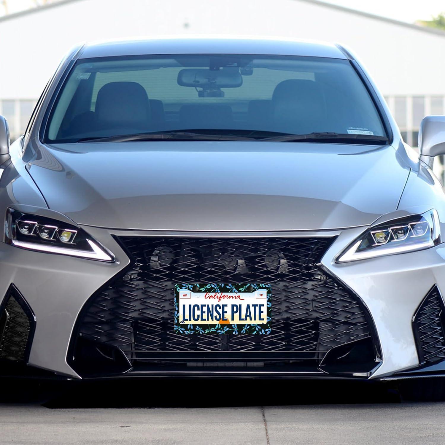 Marco de Placa de Matrícula LIN KANG Dragón Azul - Paquete de 2