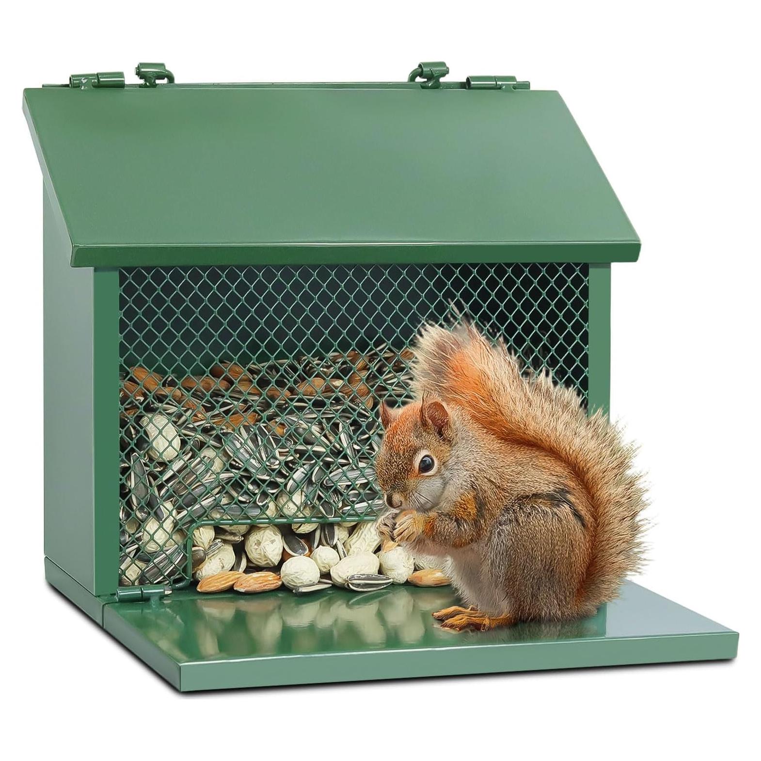 Comedero para Ardillas Gavinjitao de Metal Verde Colgante
