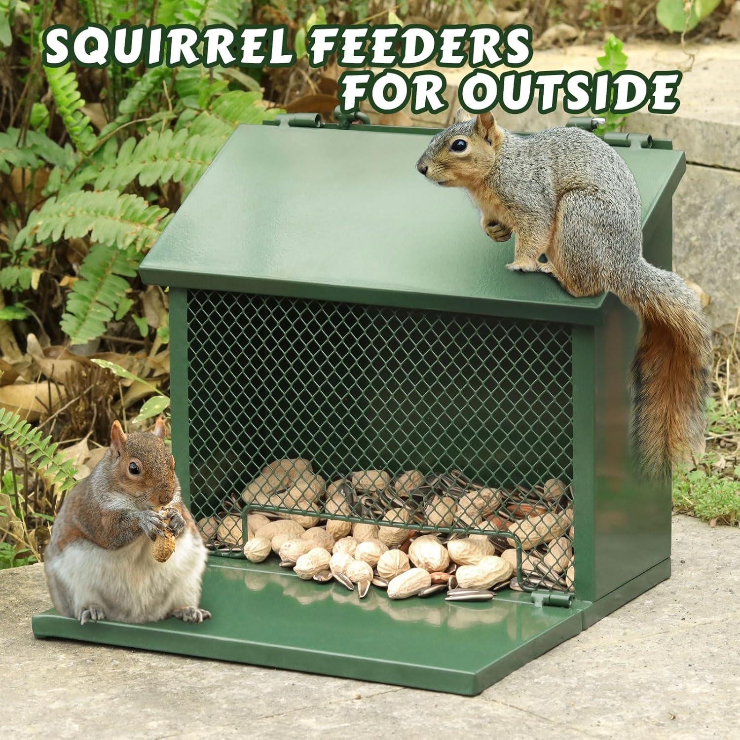 Comedero para Ardillas Gavinjitao de Metal Verde Colgante