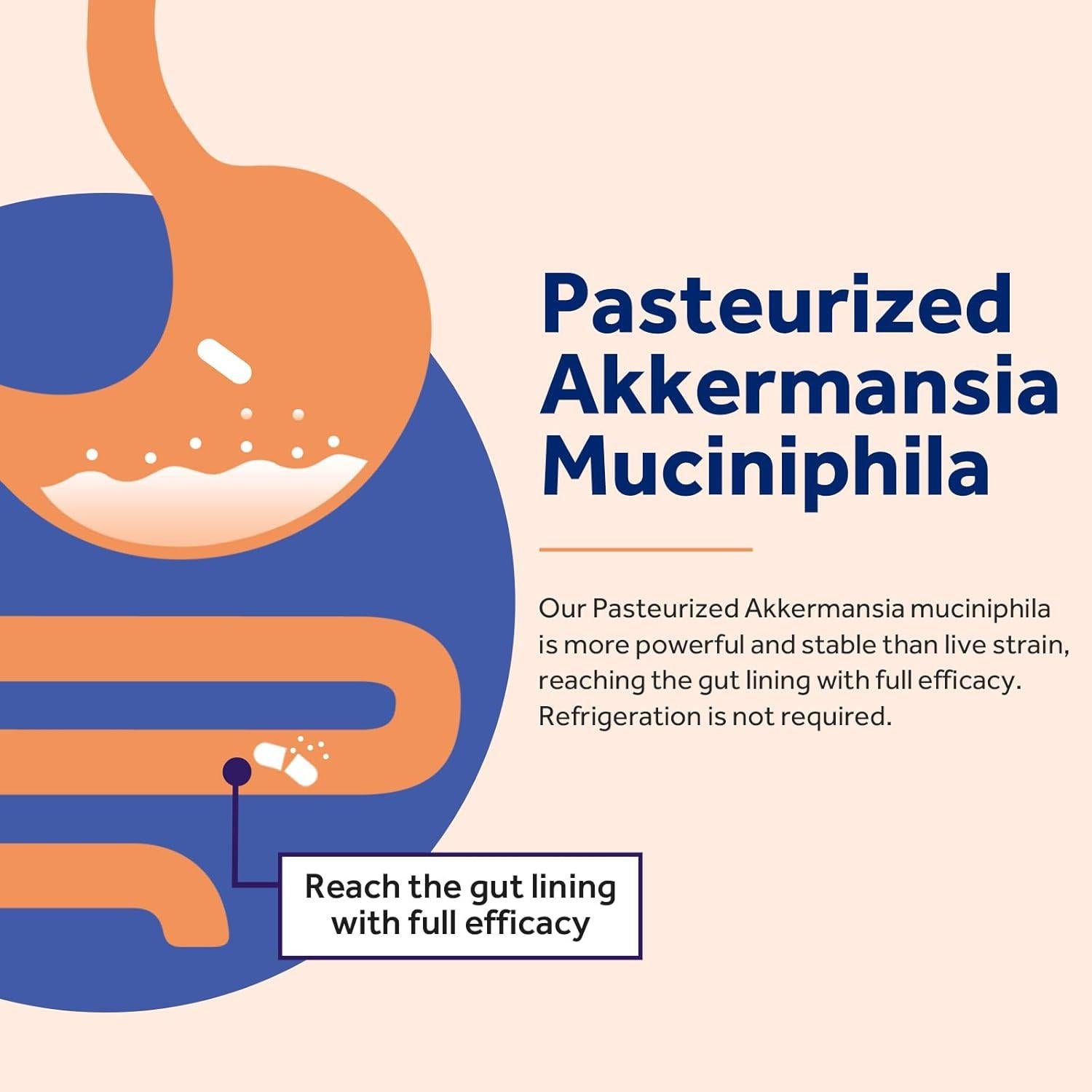 Probiotico Akkermansia Muciniphila 100B - 30 Cápsulas Vegetales