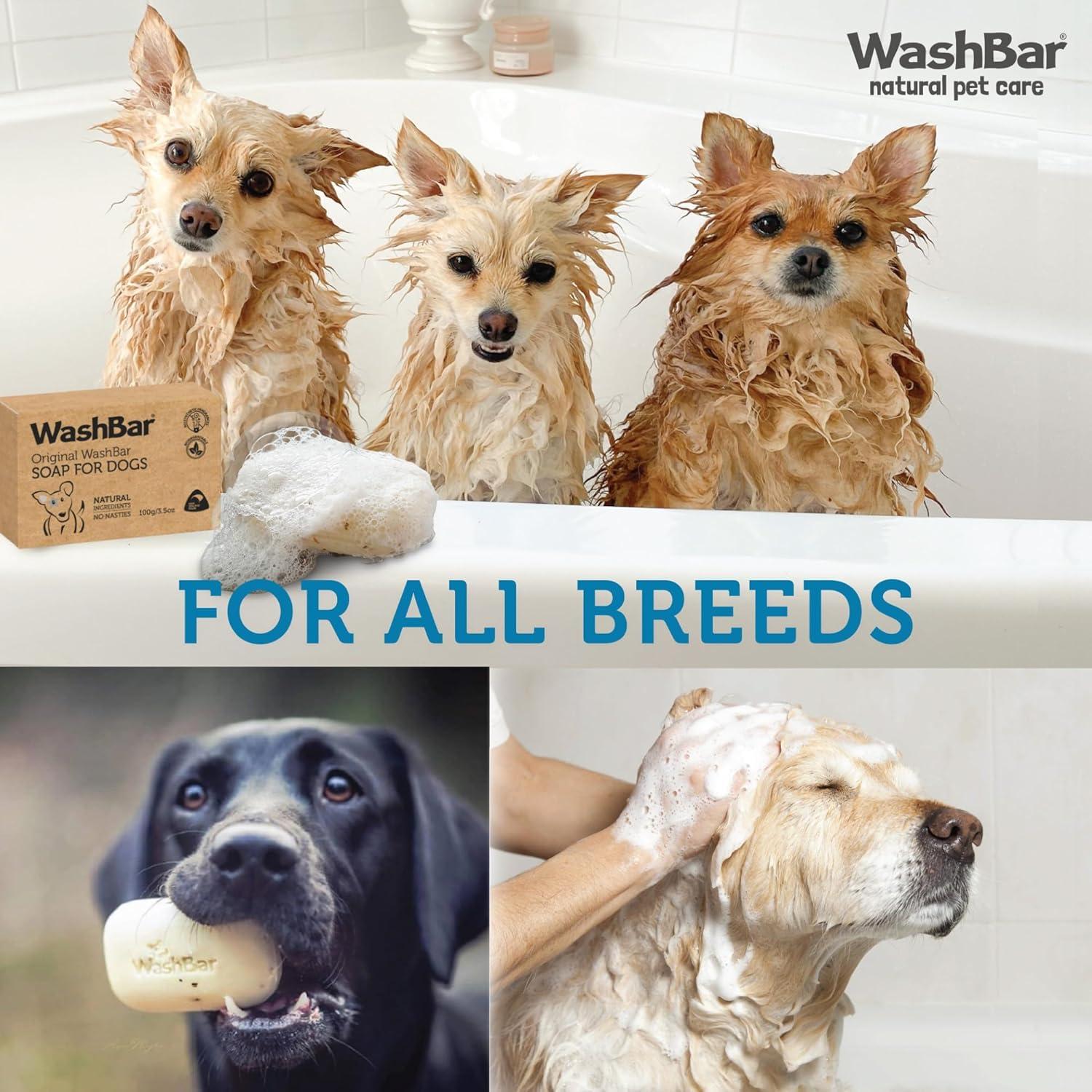 Champú Natural en Barra para Perros WashBar 100g - Alivio Picazón