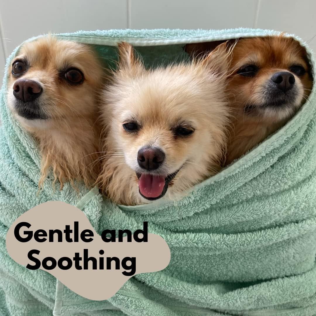 Champú Natural en Barra para Perros WashBar 100g - Alivio Picazón