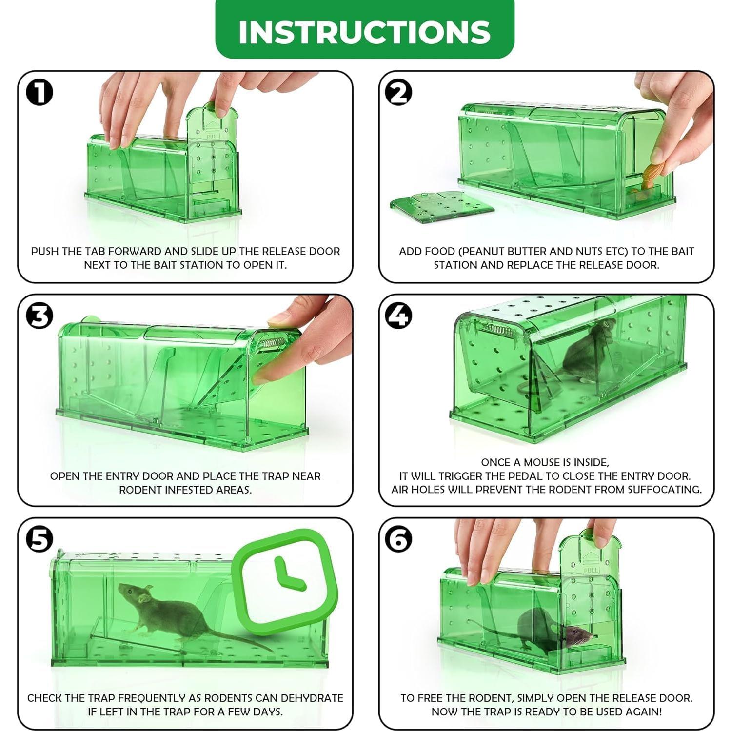 Trampa Humana para Ratones Teal Elite - Paquete de 2 Verde