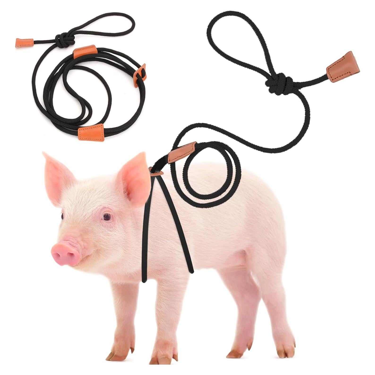 Arnés Ajustable para Cerdo Mascota Drunhan Negro 22.86cm