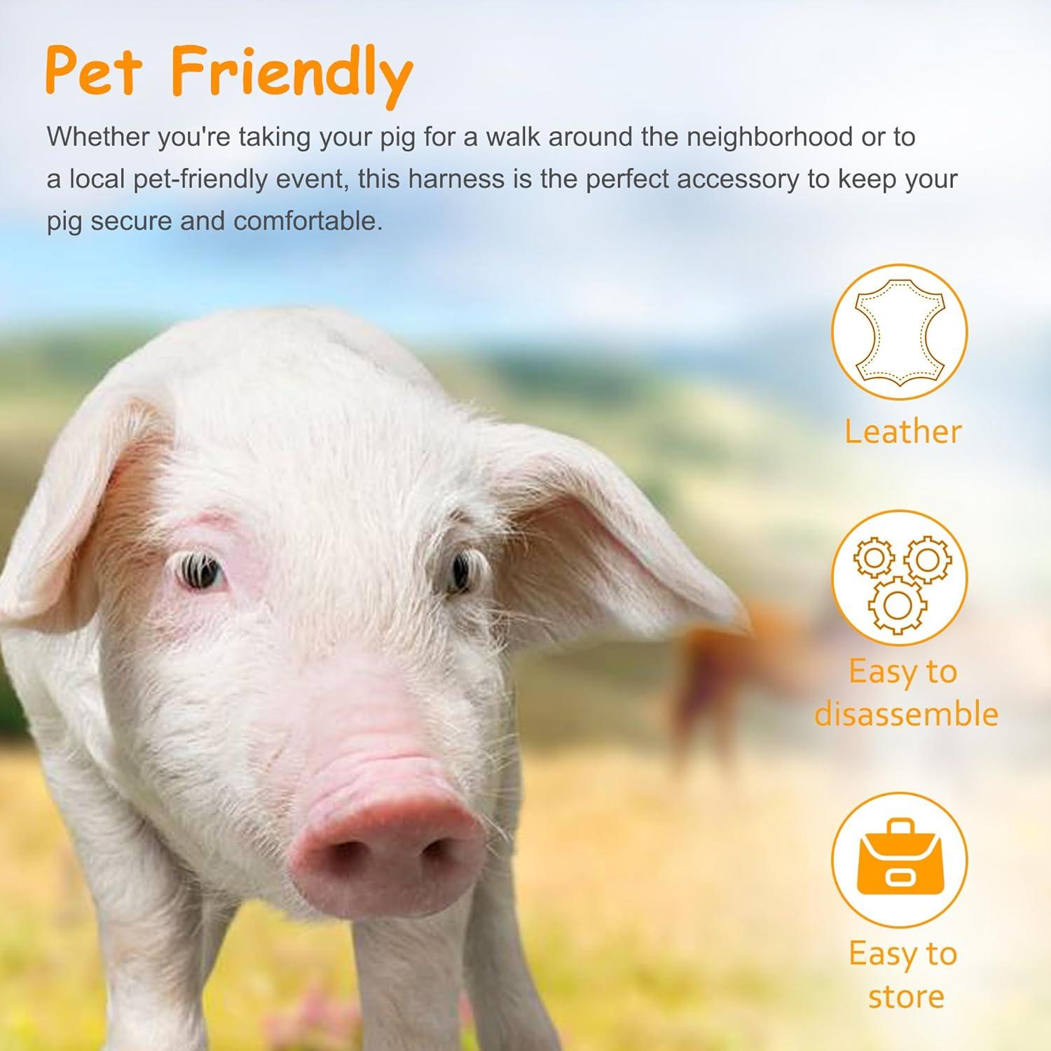 Arnés Ajustable para Cerdo Mascota Drunhan Negro 22.86cm