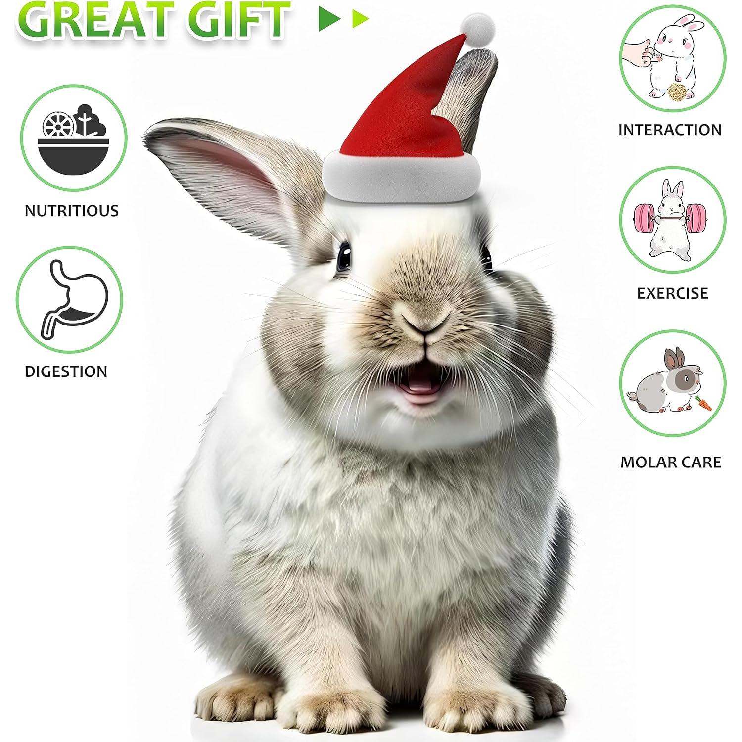 Juguetes para Conejos Wookiwuki 13 Piezas Naturales