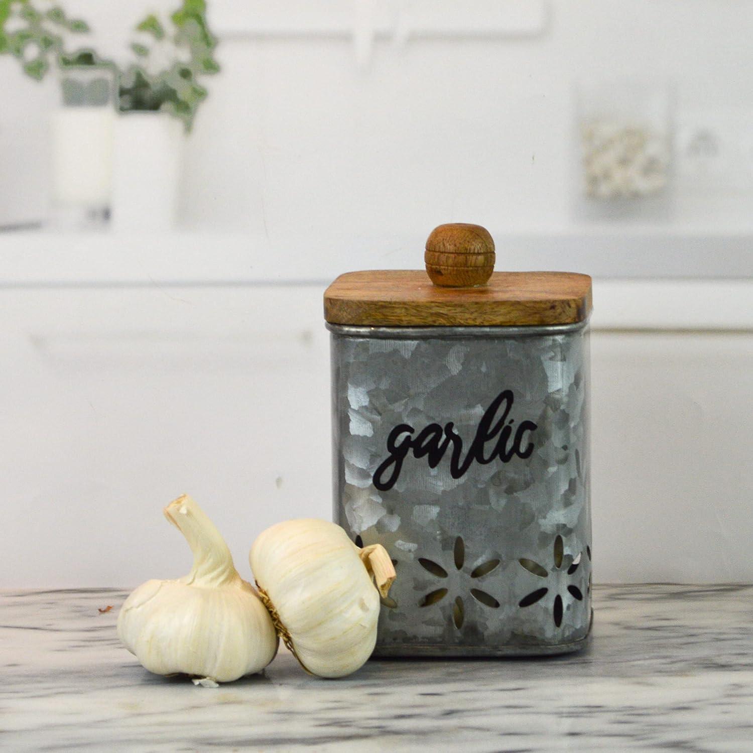 Contenedor de Ajo Galvanizado Boston Warehouse 12.7x10.8cm