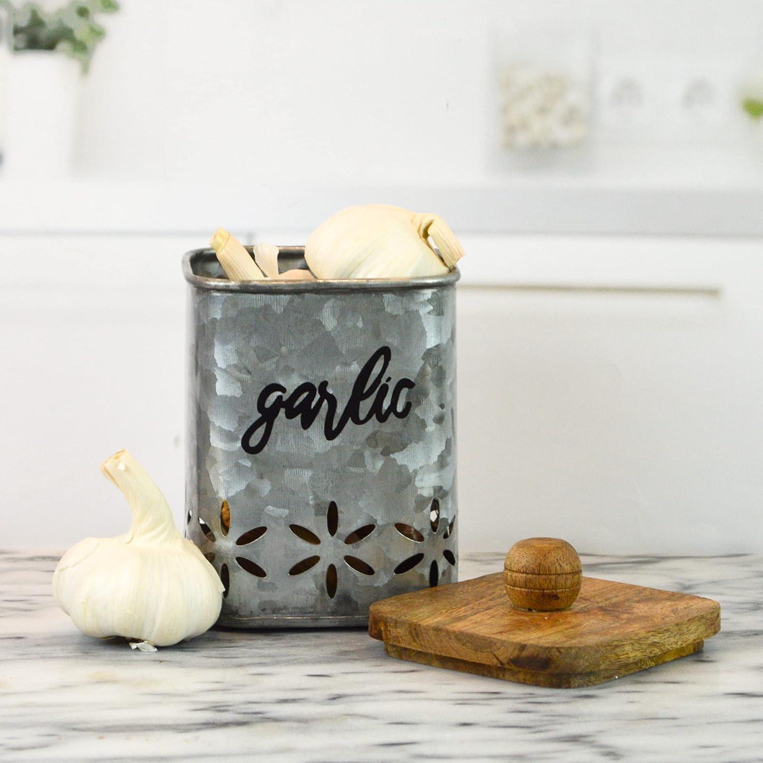 Contenedor de Ajo Galvanizado Boston Warehouse 12.7x10.8cm