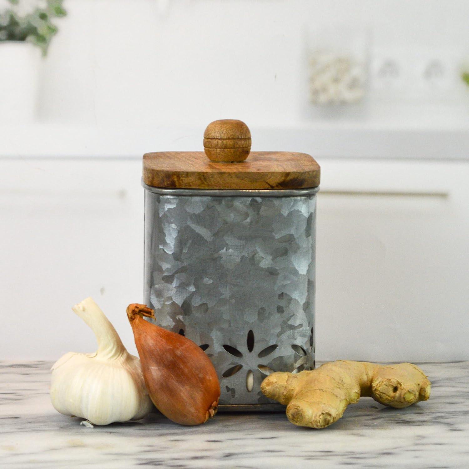 Contenedor de Ajo Galvanizado Boston Warehouse 12.7x10.8cm