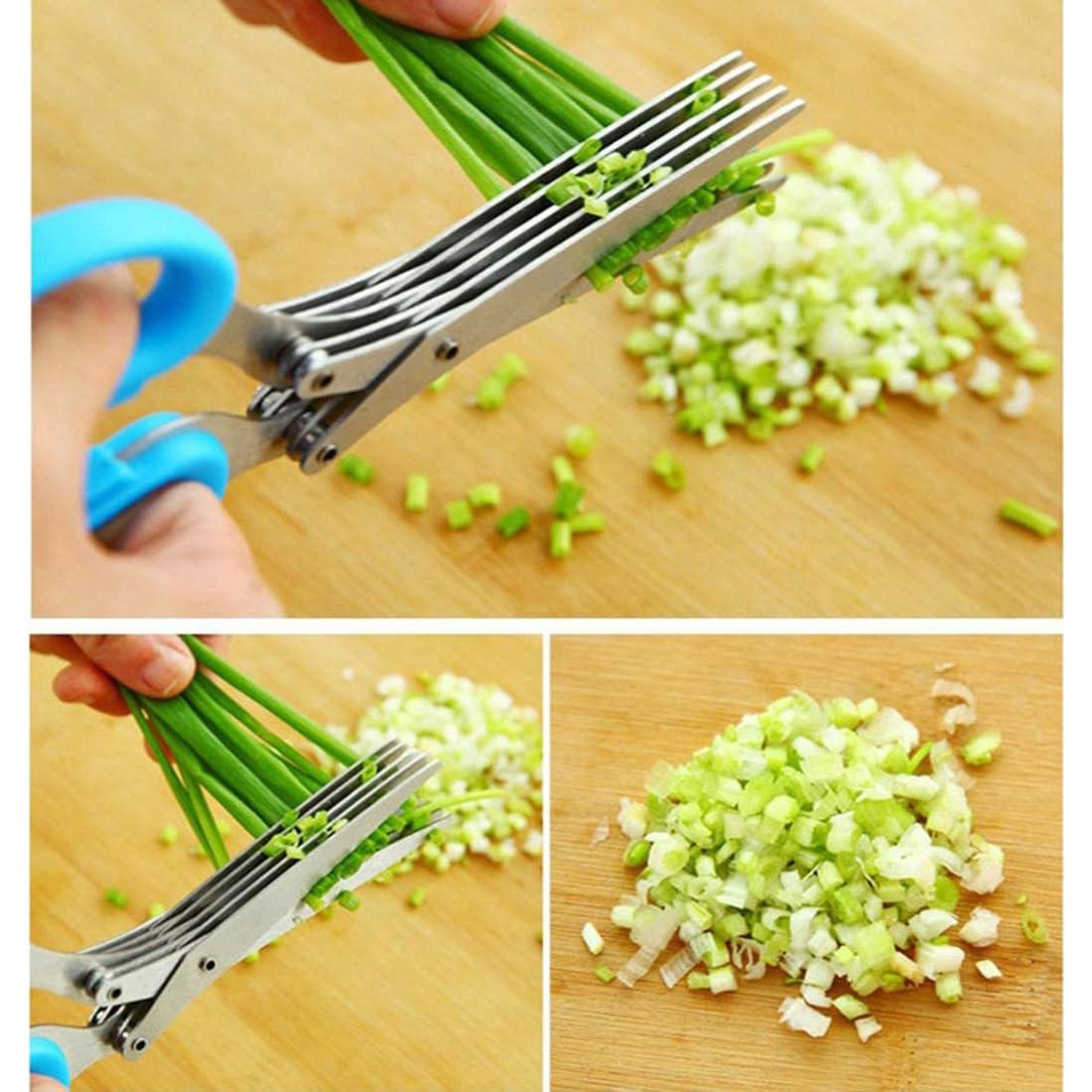 Tijeras de Hierbas INVODA de Acero Inoxidable 5 Cuchillas 19cm